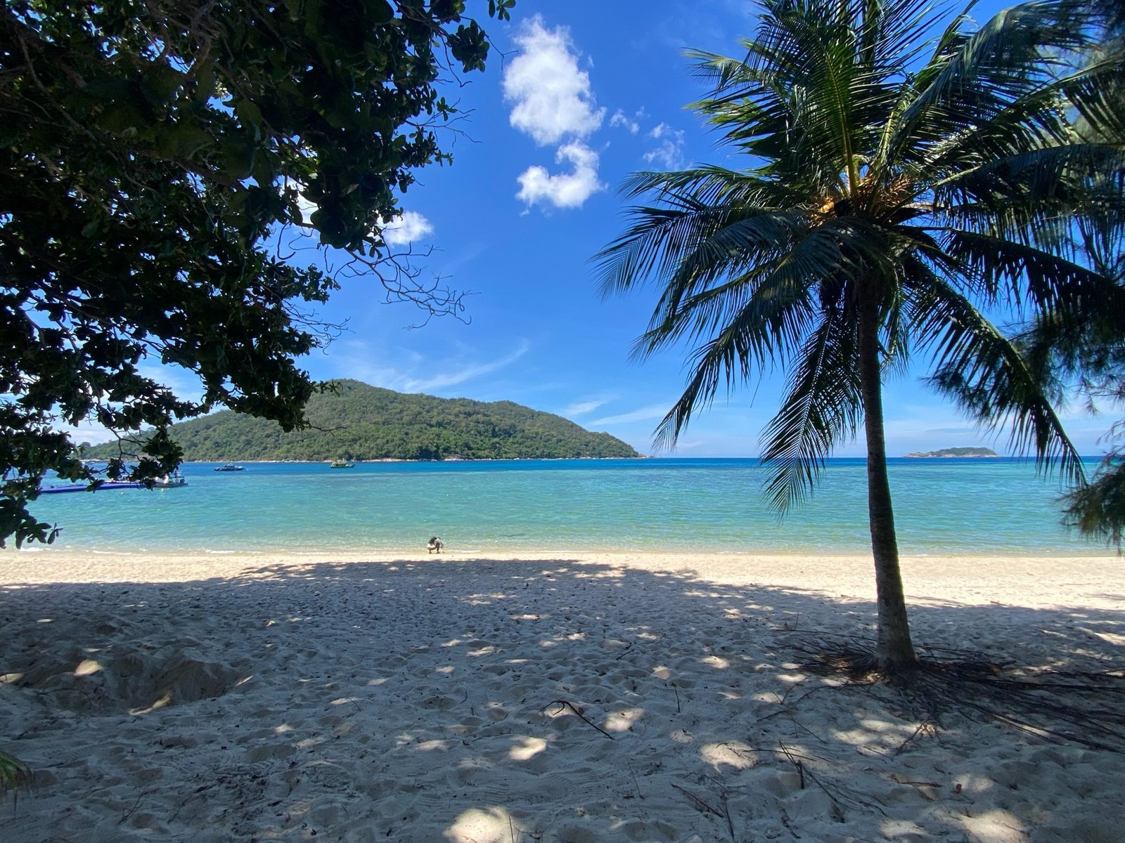 Plage bordée de cocotiers aux Perhentian